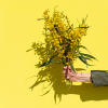 PC_Summer_Bloom_4000x4000_3_d917_thumbnail